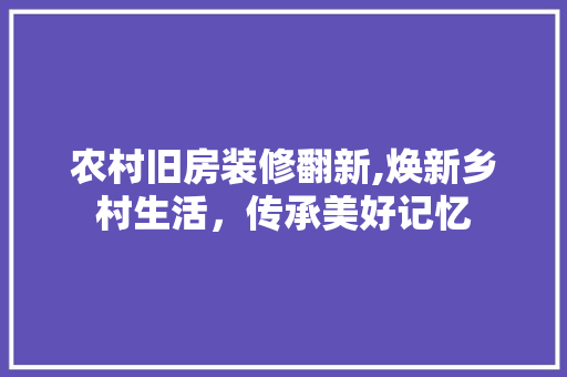 农村旧房装修翻新,焕新乡村生活，传承美好记忆 农村旧房装修翻新,焕新乡村生活，传承美好记忆 家电维修
