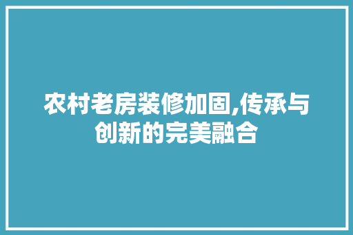 农村老房装修加固,传承与创新的完美融合 农村老房装修加固,传承与创新的完美融合 家电维修