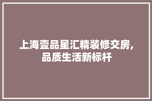 上海壹品星汇精装修交房,品质生活新标杆