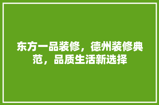 东方一品装修，德州装修典范，品质生活新选择