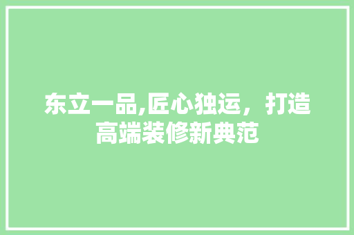 东立一品,匠心独运，打造高端装修新典范 东立一品,匠心独运，打造高端装修新典范 居家维修