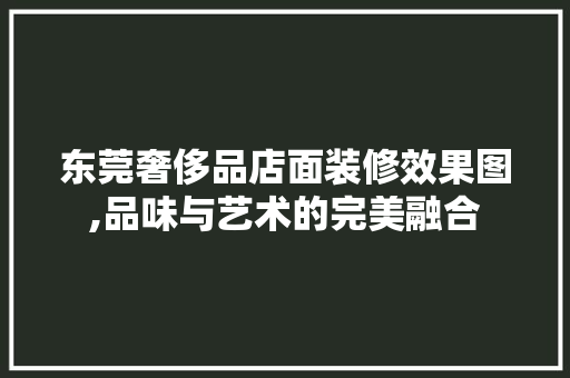 东莞奢侈品店面装修效果图,品味与艺术的完美融合