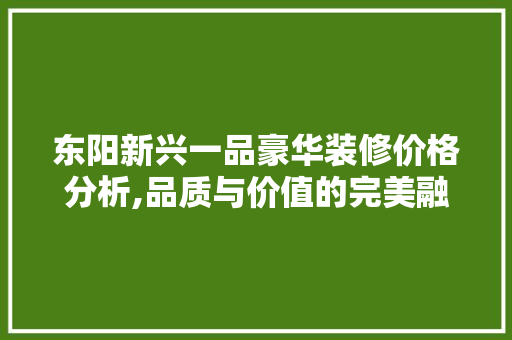 东阳新兴一品豪华装修价格分析,品质与价值的完美融合