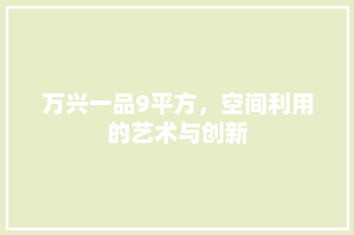 万兴一品9平方，空间利用的艺术与创新 万兴一品9平方，空间利用的艺术与创新 家电维修