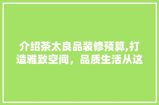 介绍茶太良品装修预算,打造雅致空间，品质生活从这里开始