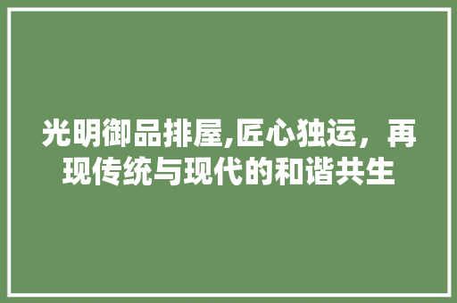 光明御品排屋,匠心独运，再现传统与现代的和谐共生