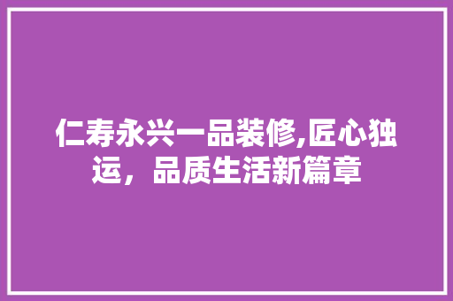 仁寿永兴一品装修,匠心独运，品质生活新篇章