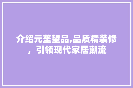 介绍元垄望品,品质精装修，引领现代家居潮流