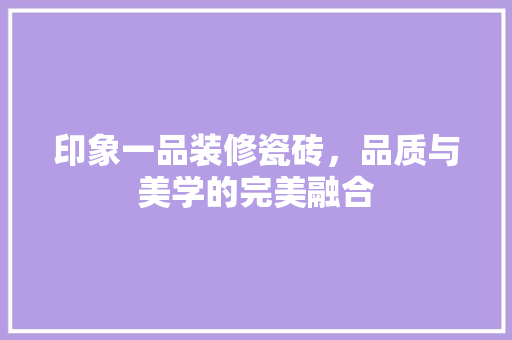 印象一品装修瓷砖，品质与美学的完美融合