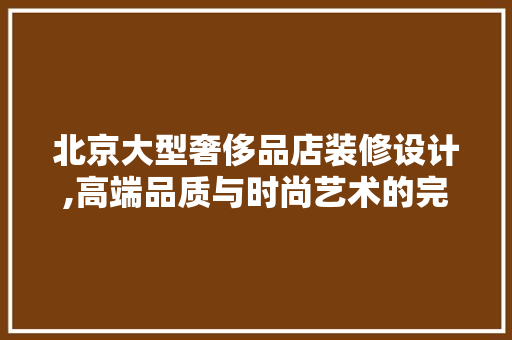 北京大型奢侈品店装修设计,高端品质与时尚艺术的完美融合