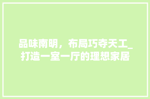 品味南明，布局巧夺天工_打造一室一厅的理想家居