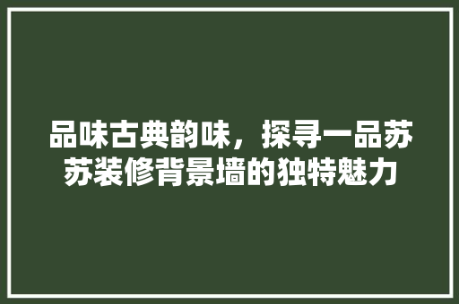 品味古典韵味，探寻一品苏苏装修背景墙的独特魅力
