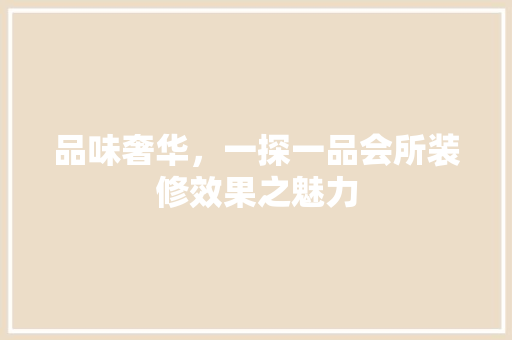 品味奢华，一探一品会所装修效果之魅力