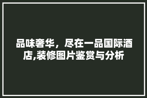 品味奢华，尽在一品国际酒店,装修图片鉴赏与分析