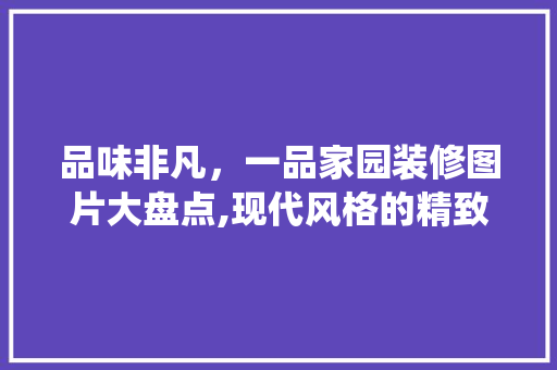 品味非凡，一品家园装修图片大盘点,现代风格的精致演绎