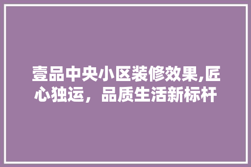 壹品中央小区装修效果,匠心独运，品质生活新标杆