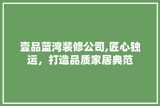 壹品蓝湾装修公司,匠心独运，打造品质家居典范