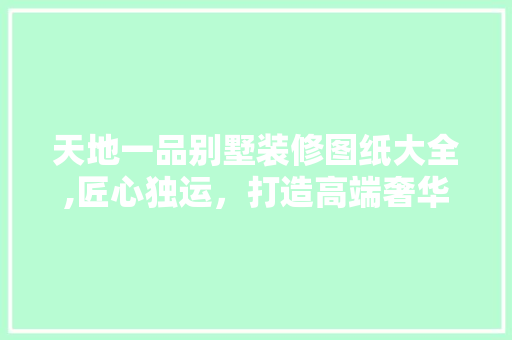 天地一品别墅装修图纸大全,匠心独运，打造高端奢华家居典范