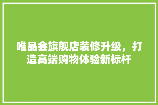 唯品会旗舰店装修升级，打造高端购物体验新标杆