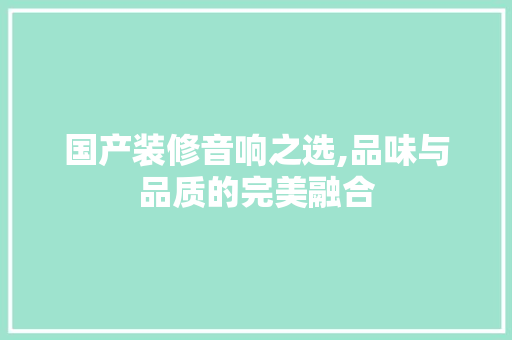 国产装修音响之选,品味与品质的完美融合