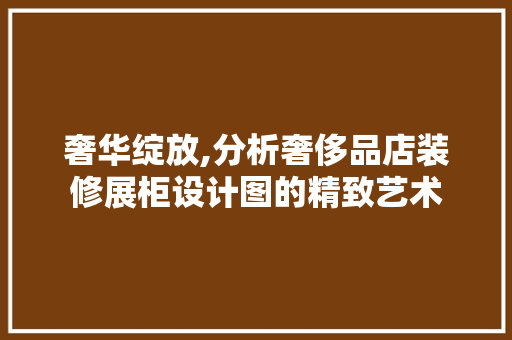 奢华绽放,分析奢侈品店装修展柜设计图的精致艺术
