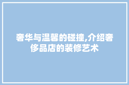 奢华与温馨的碰撞,介绍奢侈品店的装修艺术
