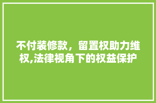 不付装修款，留置权助力维权,法律视角下的权益保护