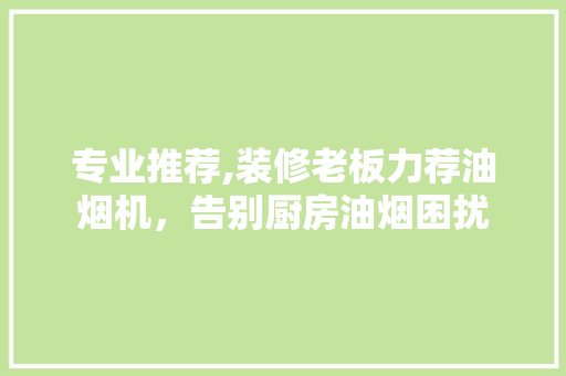 专业推荐,装修老板力荐油烟机，告别厨房油烟困扰