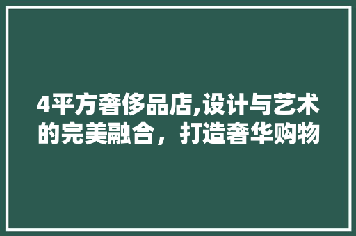 4平方奢侈品店,设计与艺术的完美融合，打造奢华购物新体验
