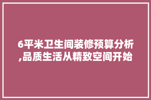 6平米卫生间装修预算分析,品质生活从精致空间开始