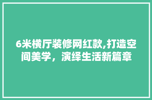 6米横厅装修网红款,打造空间美学，演绎生活新篇章 6米横厅装修网红款,打造空间美学，演绎生活新篇章 家电维修
