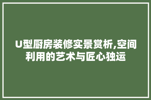 U型厨房装修实景赏析,空间利用的艺术与匠心独运