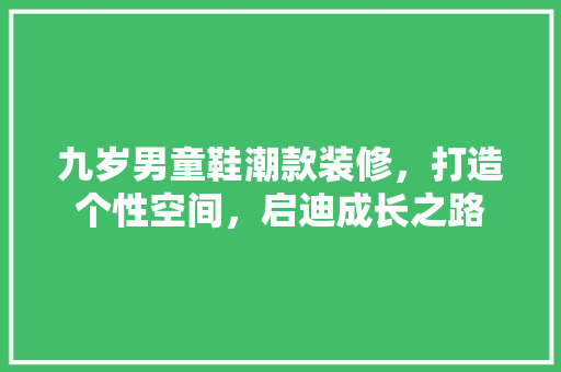 九岁男童鞋潮款装修，打造个性空间，启迪成长之路 九岁男童鞋潮款装修，打造个性空间，启迪成长之路 厨房维修