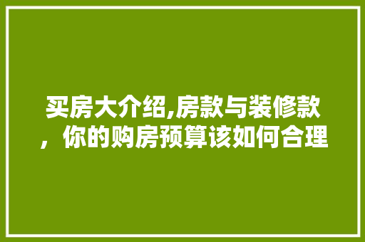 买房大介绍,房款与装修款，你的购房预算该如何合理分配