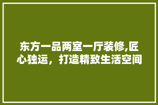 东方一品两室一厅装修,匠心独运，打造精致生活空间