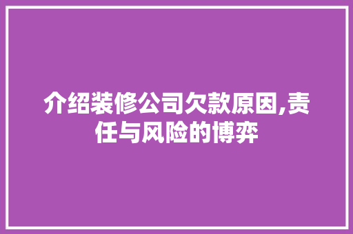 介绍装修公司欠款原因,责任与风险的博弈 介绍装修公司欠款原因,责任与风险的博弈 居家维修