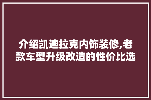 介绍凯迪拉克内饰装修,老款车型升级改造的性价比选择