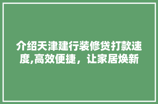 介绍天津建行装修贷打款速度,高效便捷，让家居焕新无忧