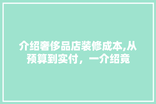 介绍奢侈品店装修成本,从预算到实付，一介绍竟