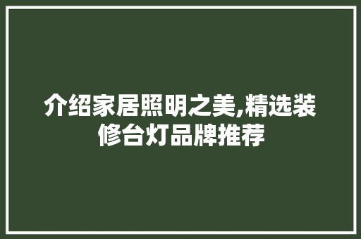 介绍家居照明之美,精选装修台灯品牌推荐