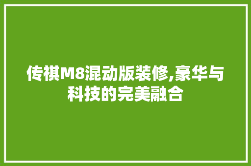 传祺M8混动版装修,豪华与科技的完美融合