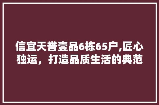信宜天誉壹品6栋65户,匠心独运，打造品质生活的典范
