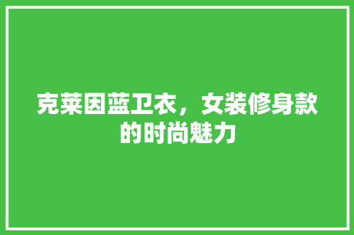 克莱因蓝卫衣，女装修身款的时尚魅力