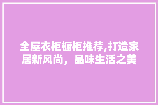 全屋衣柜橱柜推荐,打造家居新风尚，品味生活之美