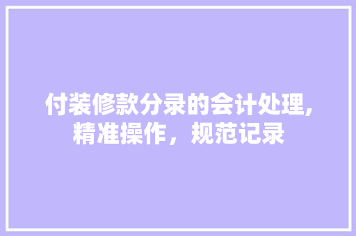 付装修款分录的会计处理,精准操作，规范记录