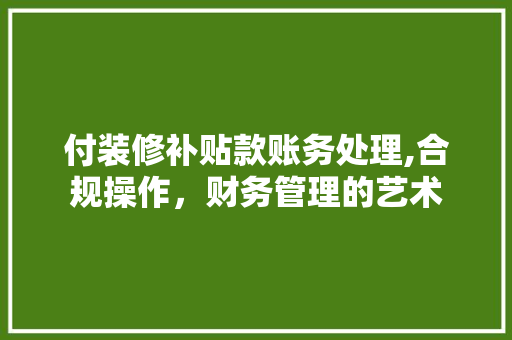 付装修补贴款账务处理,合规操作，财务管理的艺术