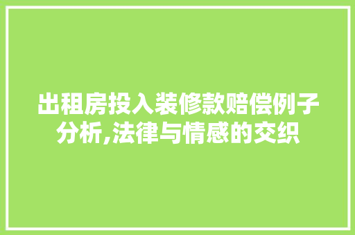 出租房投入装修款赔偿例子分析,法律与情感的交织