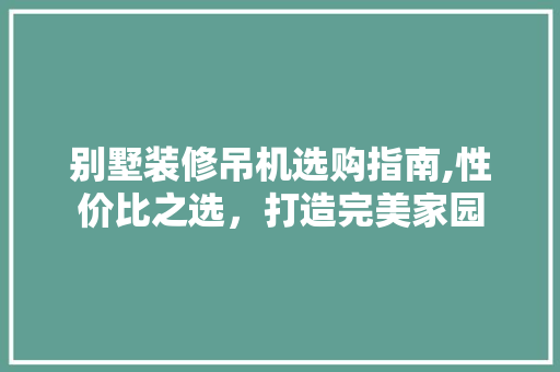 别墅装修吊机选购指南,性价比之选，打造完美家园