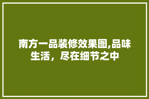 南方一品装修效果图,品味生活，尽在细节之中