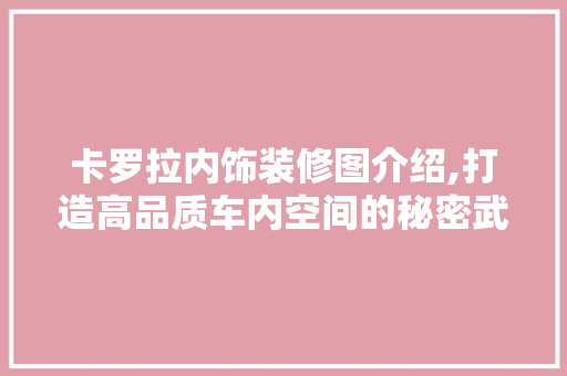 卡罗拉内饰装修图介绍,打造高品质车内空间的秘密武器